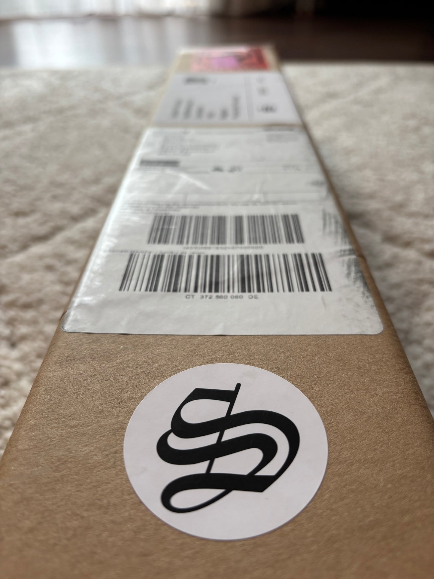 SCUCCI | Pianist lover, 2026